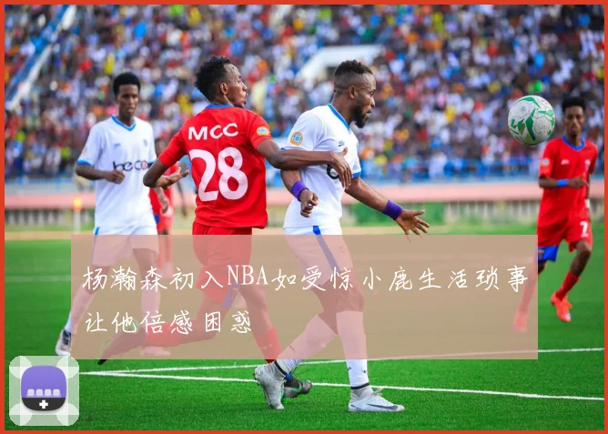杨瀚森初入NBA如受惊小鹿生活琐事让他倍感困惑