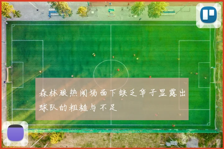 森林狼热闹场面下缺乏华子显露出球队的粗糙与不足