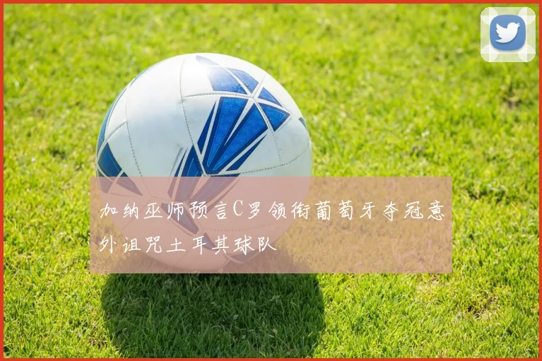 加纳巫师预言C罗领衔葡萄牙夺冠意外诅咒土耳其球队